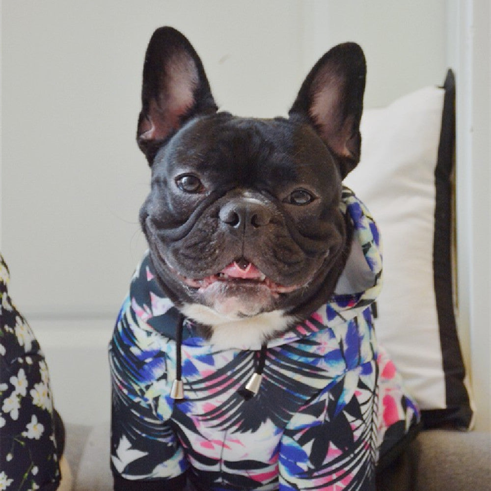 Hoodie “Galaxiperri” – Abrigo Cósmico para Mascotas con Estilo