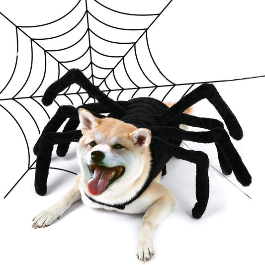 ️ Arañamigx del Mal – Disfraz Halloween para Perris y Gatis