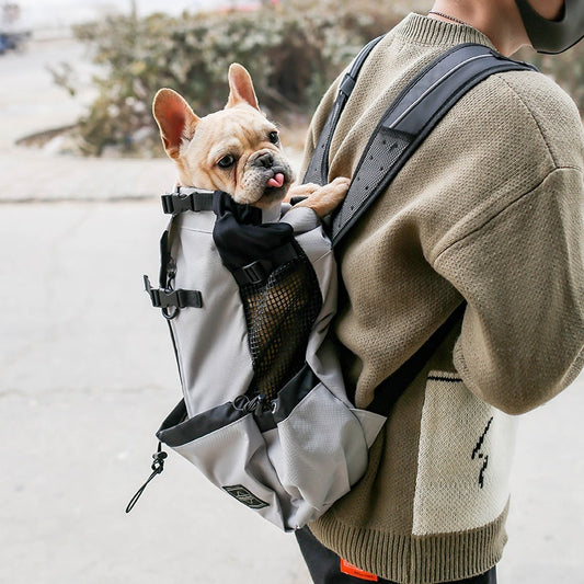 MochiPatitas – Mochila de Aventuras para Perris Pequeños ✨