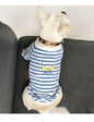 Buzo “Banana Split” – Outfit Rayado para Humana + Mascota