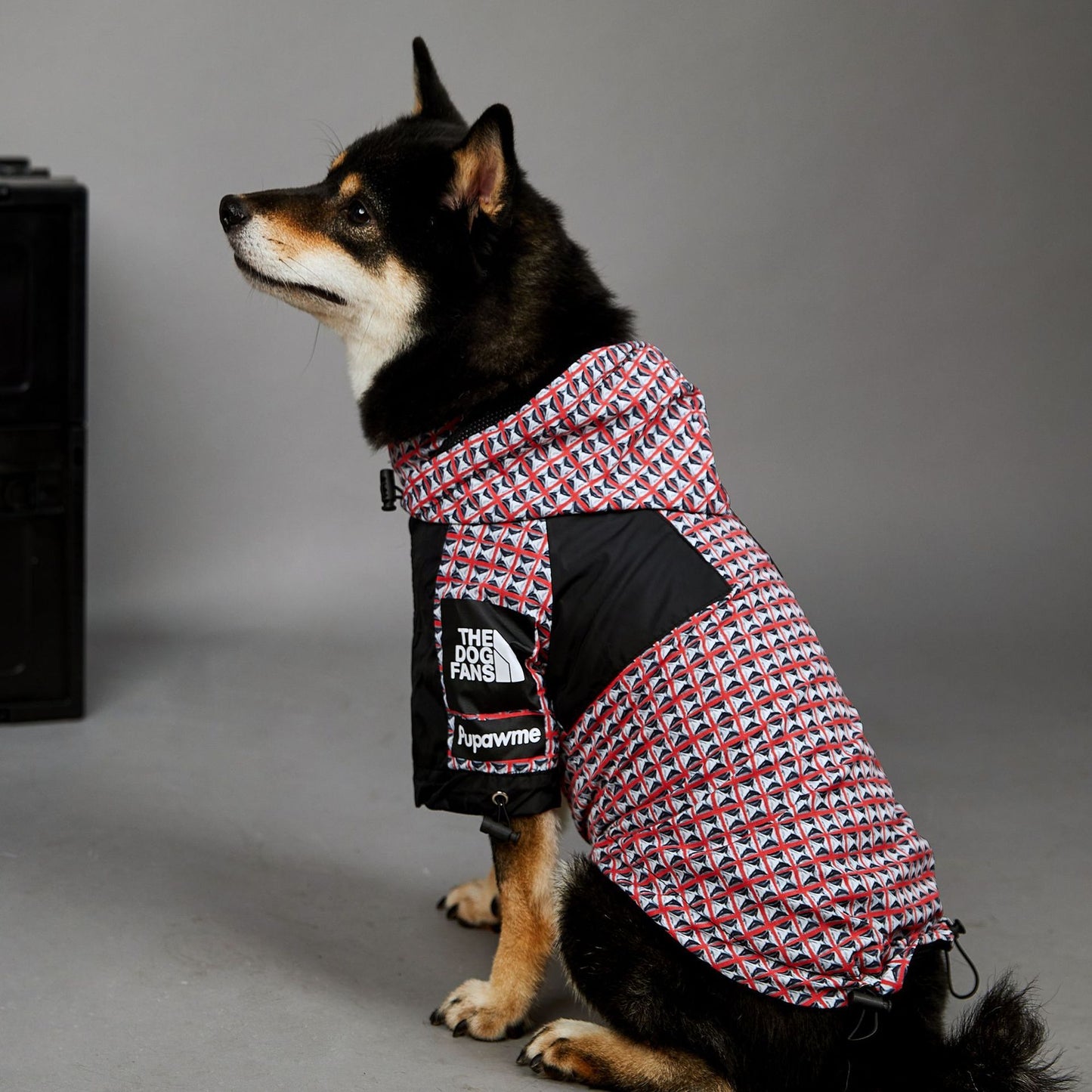 Pilot para lluvia - Antiviento “Rocker” para perritos ☔️