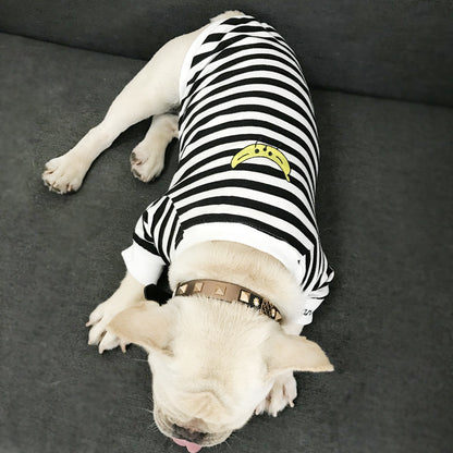 Buzo “Banana Split” – Outfit Rayado para Humana + Mascota