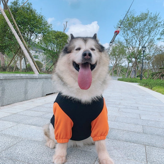 Suéter “KamehameMatch” – Outfit Dragon Style para Perris y Humanos ✨