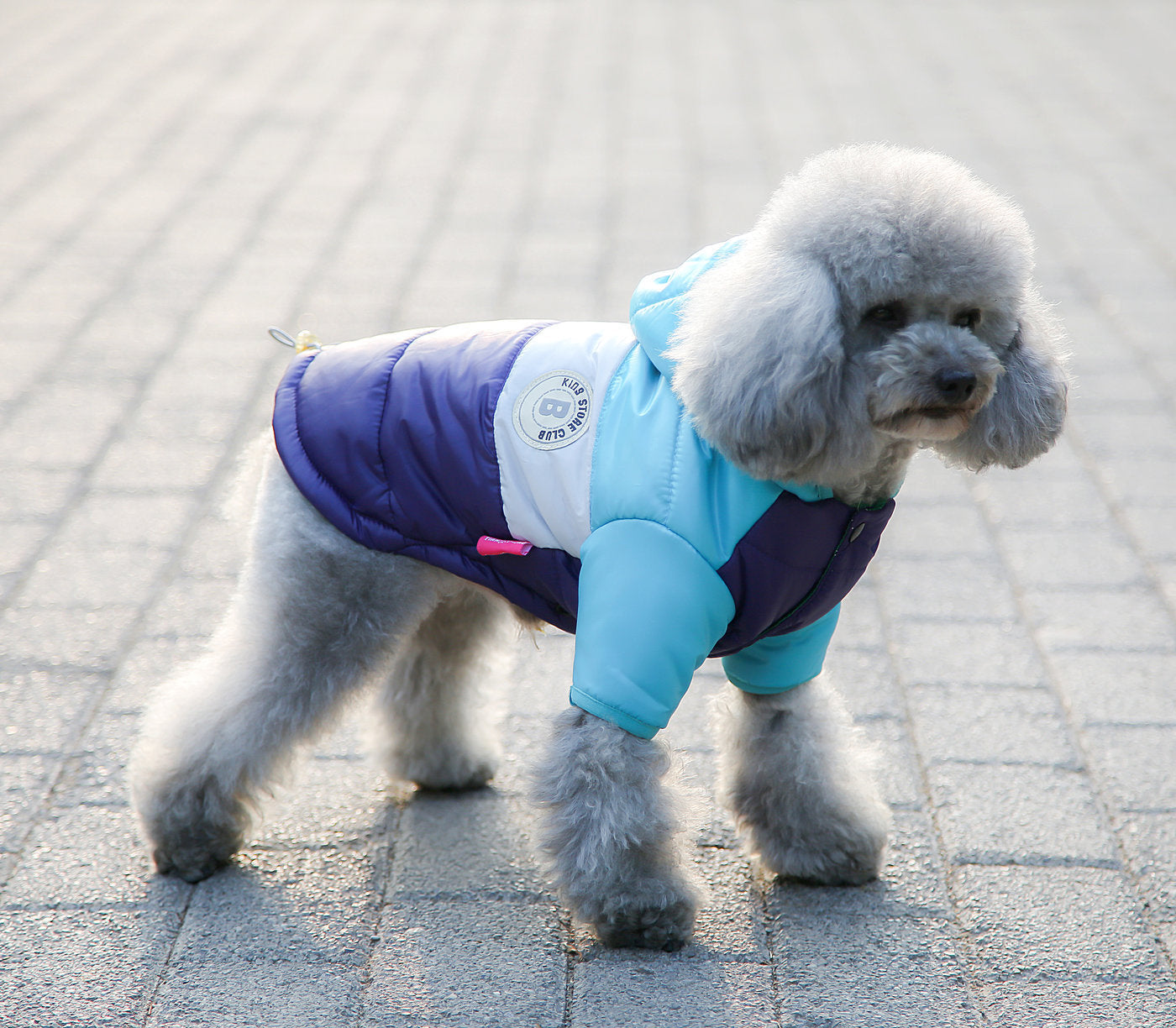 Camperita Puffy Friki ❄️