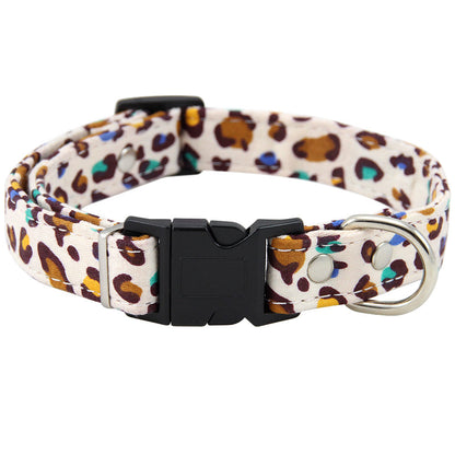 Collar Chic
