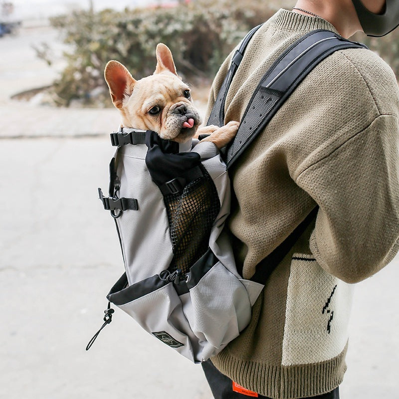 MochiPatitas – Mochila de Aventuras para Perris Pequeños ✨