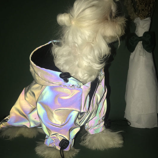 ✨ Campera Reflectiva para Perritos - Brillá con Estilo