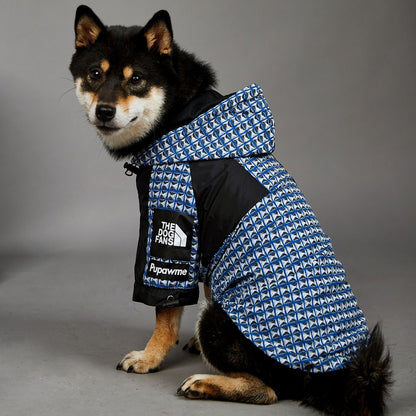 Pilot para lluvia - Antiviento “Rocker” para perritos ☔️