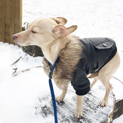Campera de Cuero para mascotas con peludito