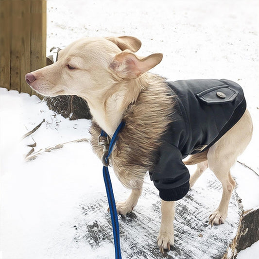 Campera de Cuero para mascotas con peludito