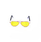 Gafas Mini Hip Hop para Mascotas | Lentes de Resina y Marco Metálico ✨